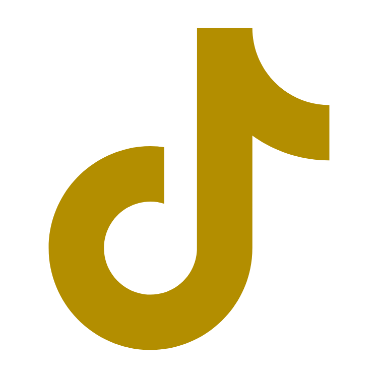 Ícone do TikTok
